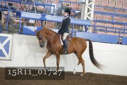 15R11_01727 proof