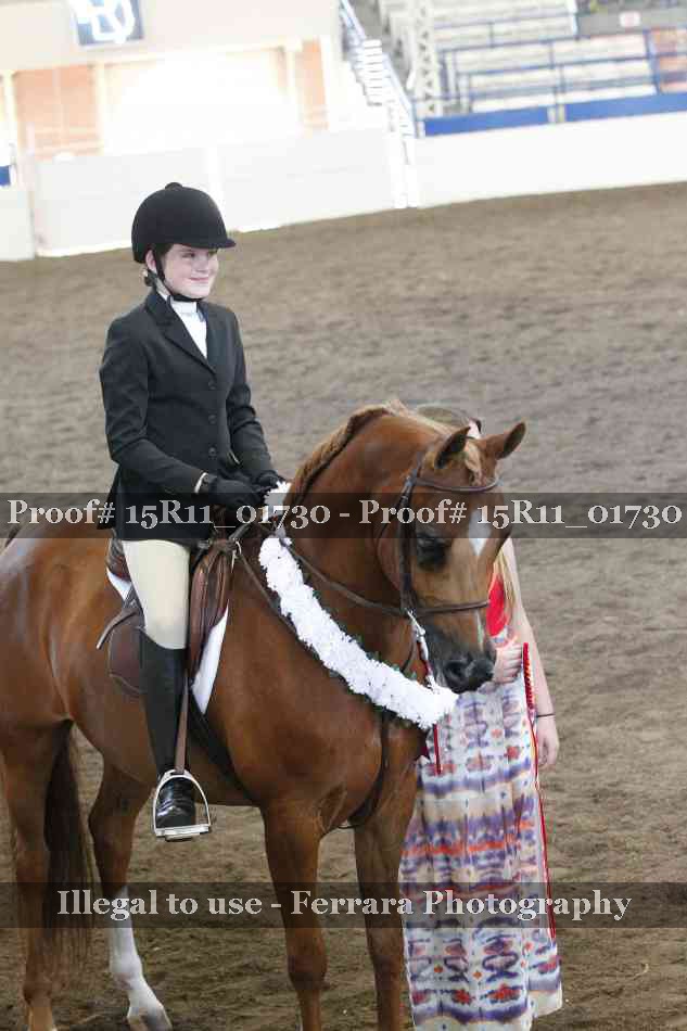 Proof 15R11_01730