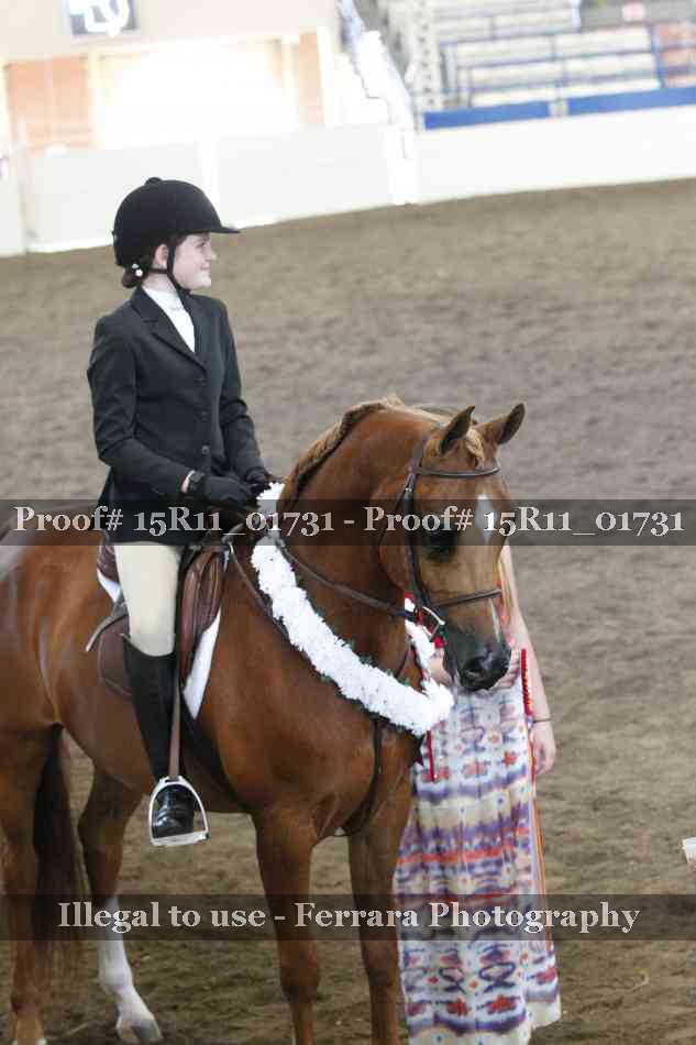 Proof 15R11_01731