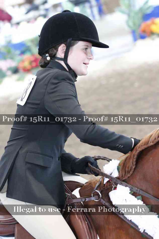 Proof 15R11_01732