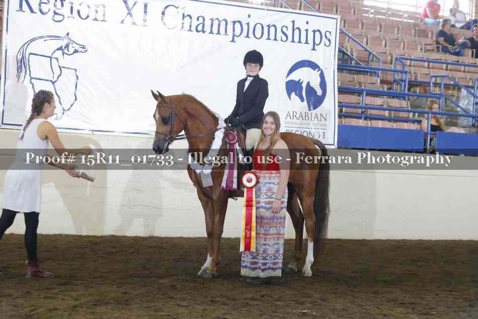 Proof 15R11_01733