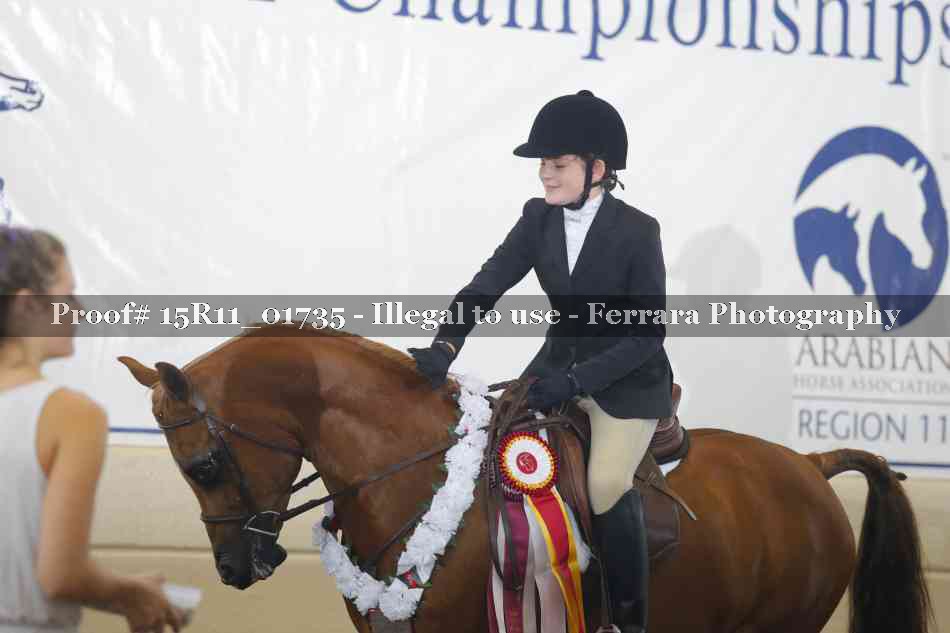 Proof 15R11_01735
