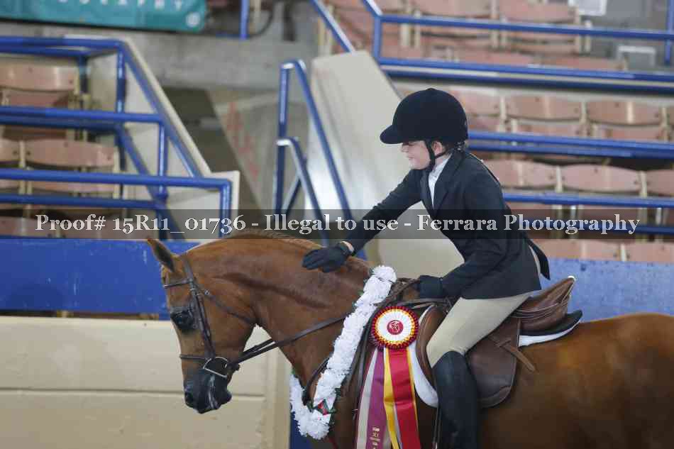 Proof 15R11_01736