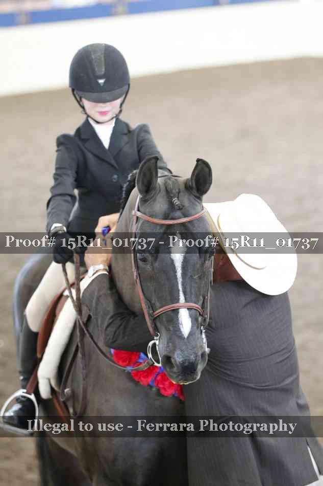 Proof 15R11_01737