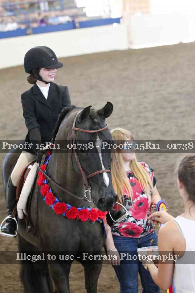 Proof 15R11_01738