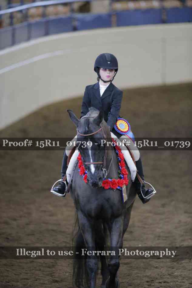 Proof 15R11_01739