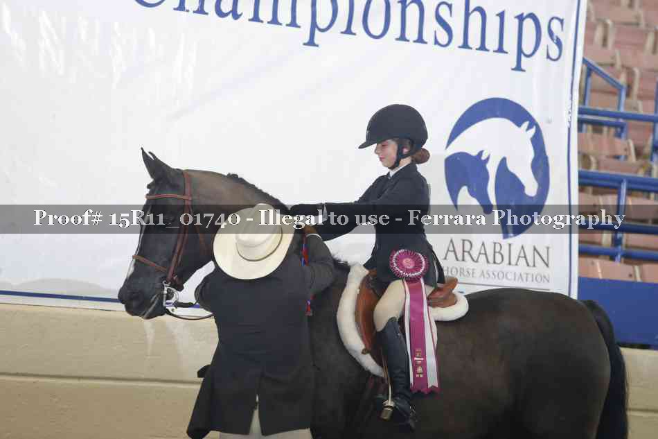 Proof 15R11_01740