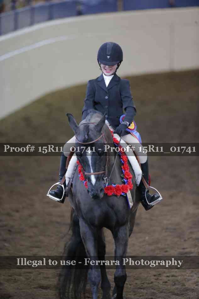 Proof 15R11_01741
