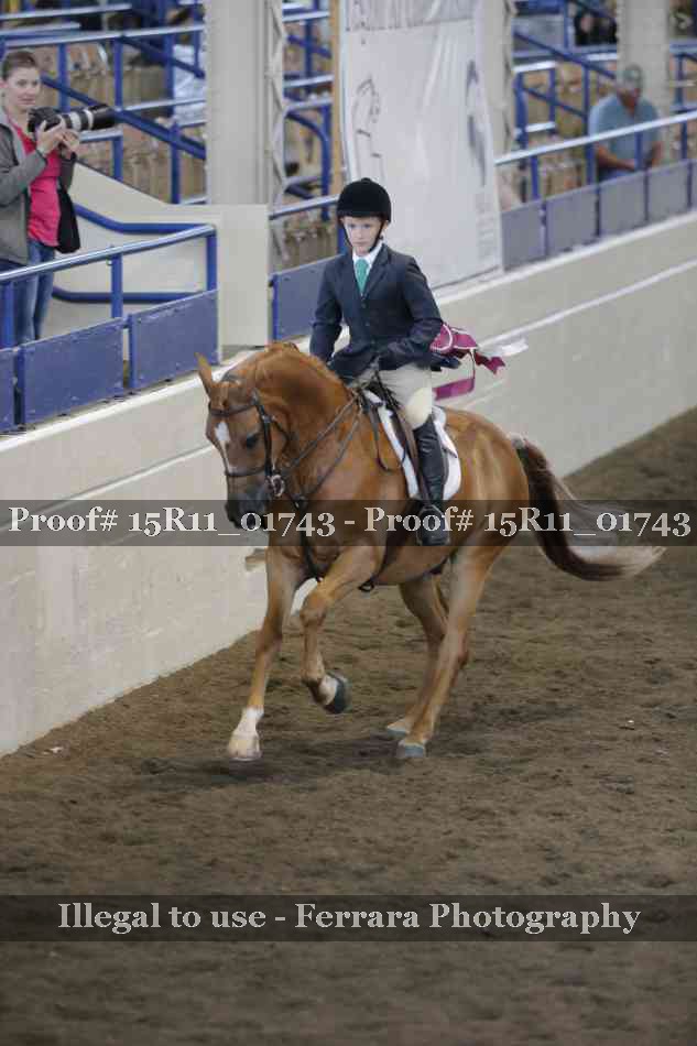 Proof 15R11_01743