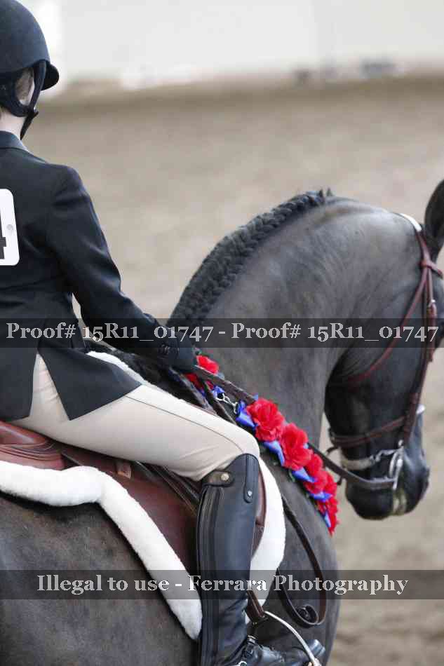 Proof 15R11_01747