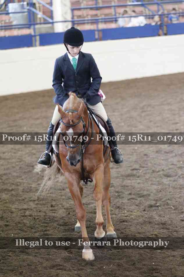 Proof 15R11_01749