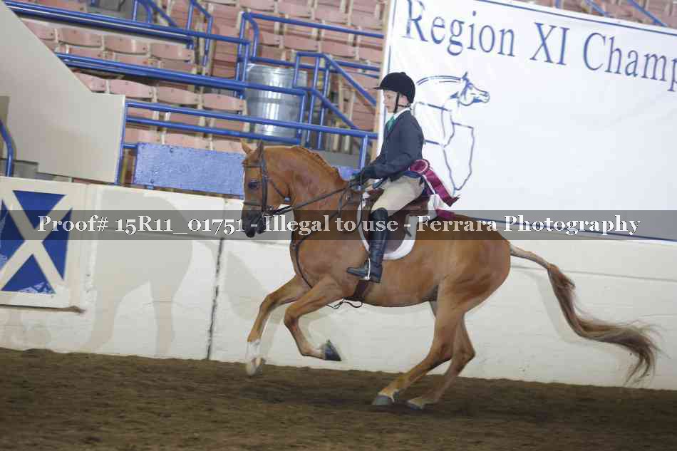 Proof 15R11_01751