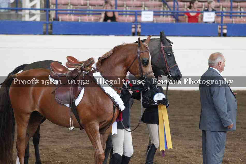 Proof 15R11_01752
