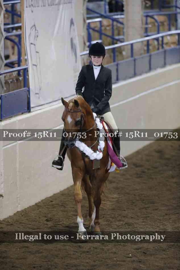 Proof 15R11_01753