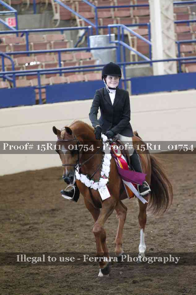 Proof 15R11_01754