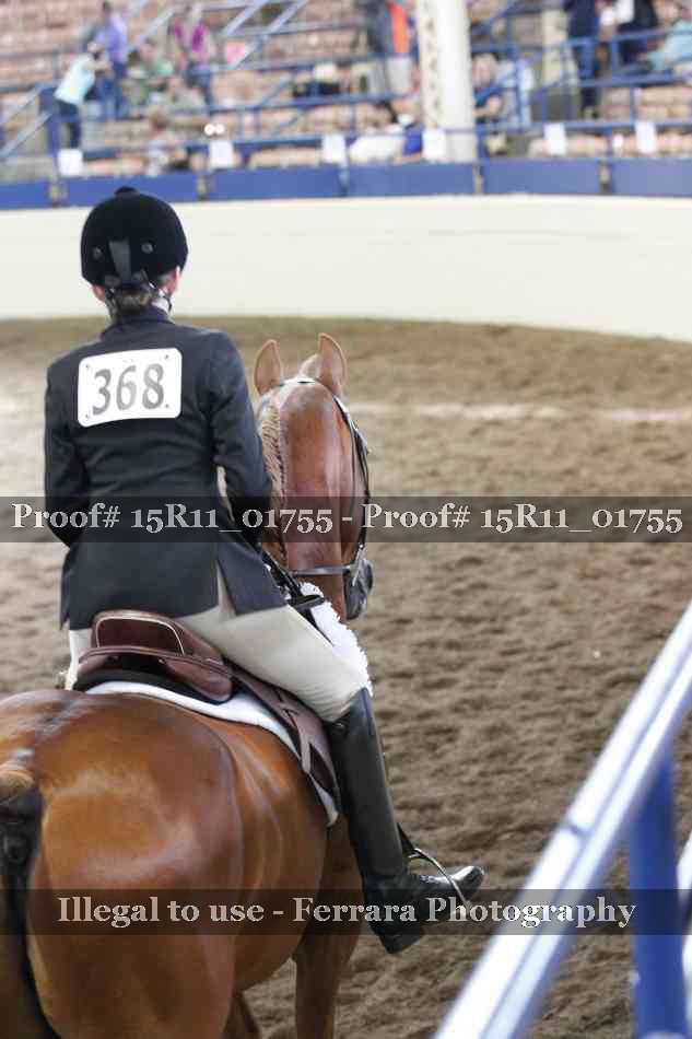 Proof 15R11_01755