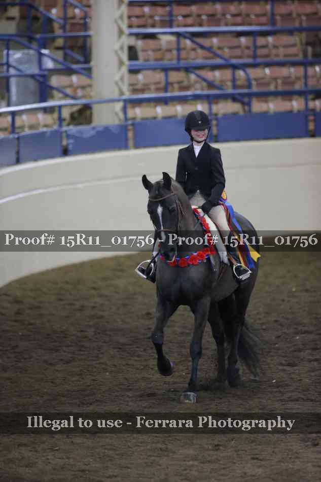 Proof 15R11_01756