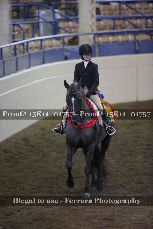 Proof 15R11_01757