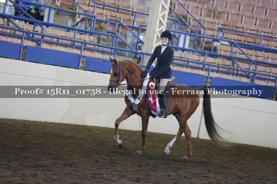 Proof 15R11_01758