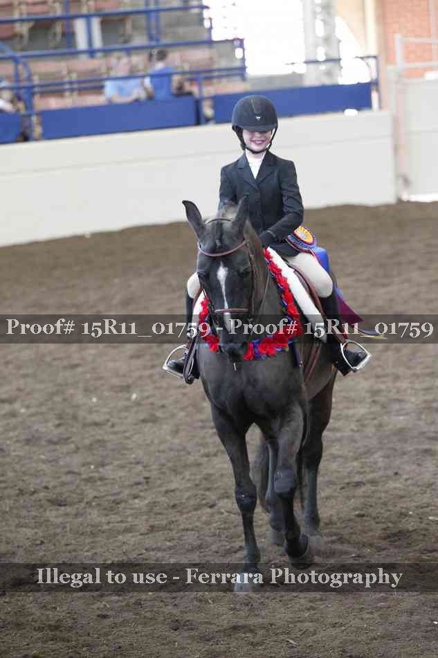 Proof 15R11_01759