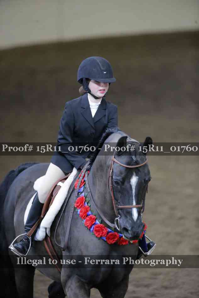 Proof 15R11_01760