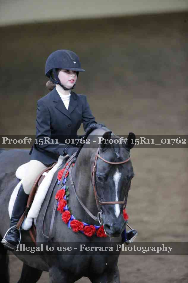 Proof 15R11_01762