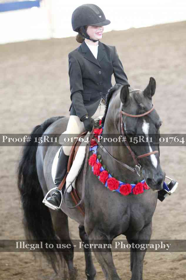 Proof 15R11_01764