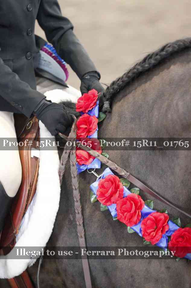 Proof 15R11_01765