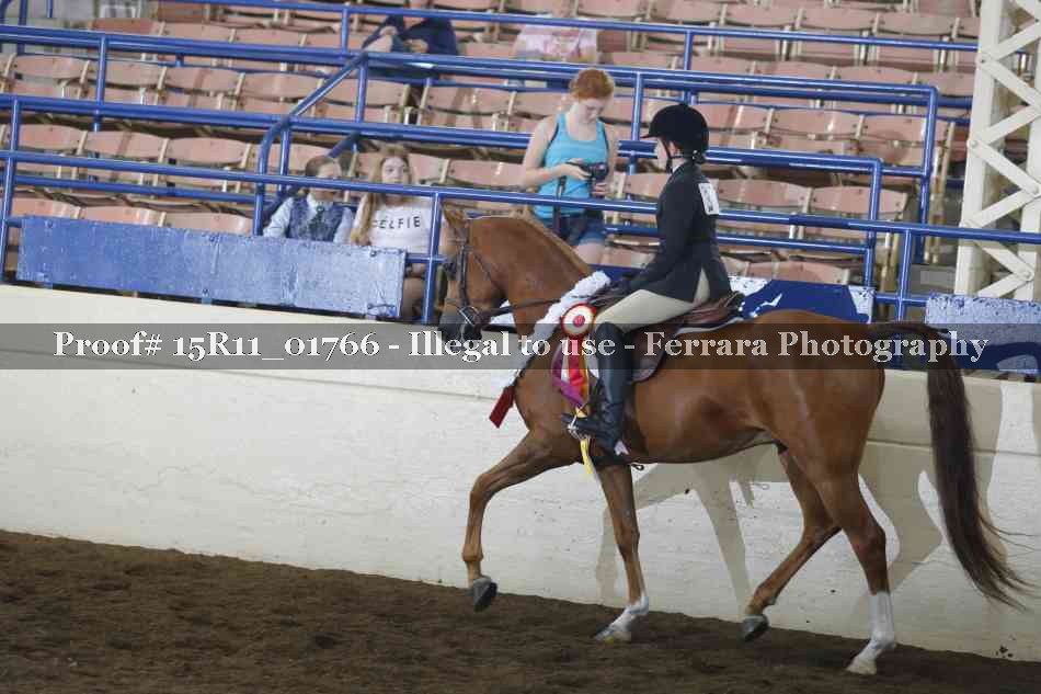 Proof 15R11_01766