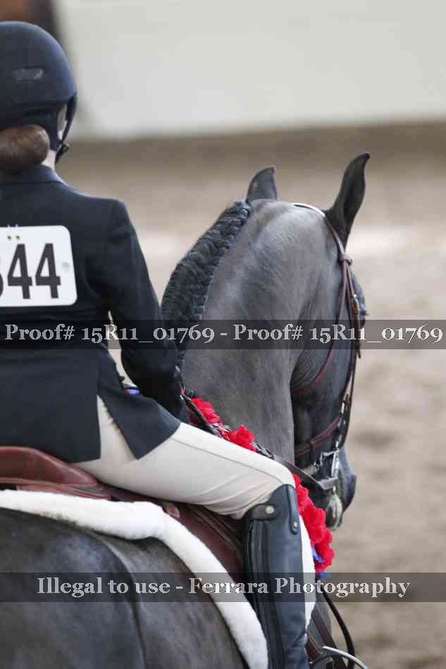 Proof 15R11_01769