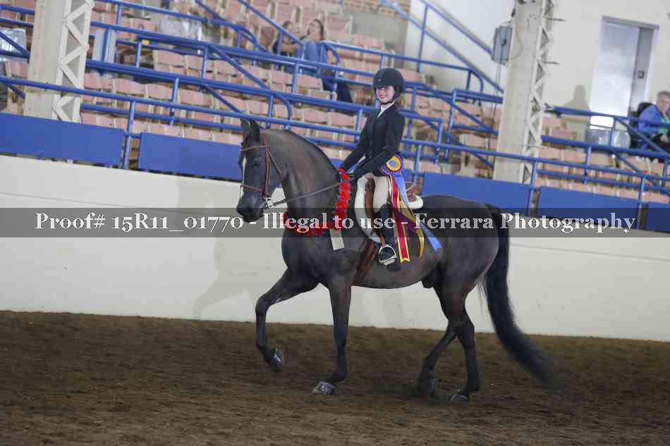 Proof 15R11_01770