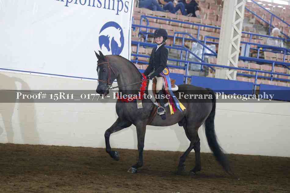 Proof 15R11_01771