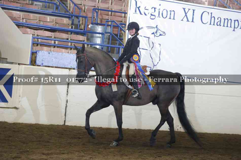 Proof 15R11_01772
