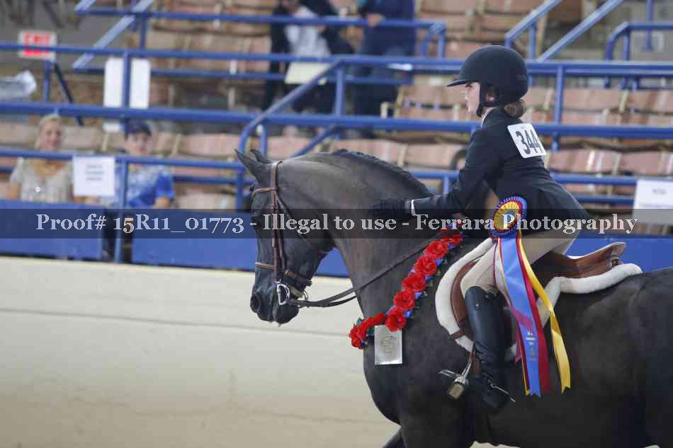 Proof 15R11_01773