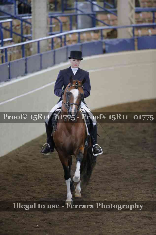 Proof 15R11_01775
