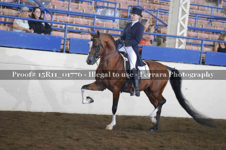 Proof 15R11_01776