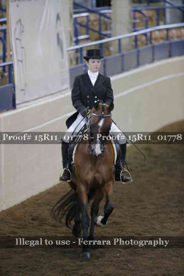 Proof 15R11_01778