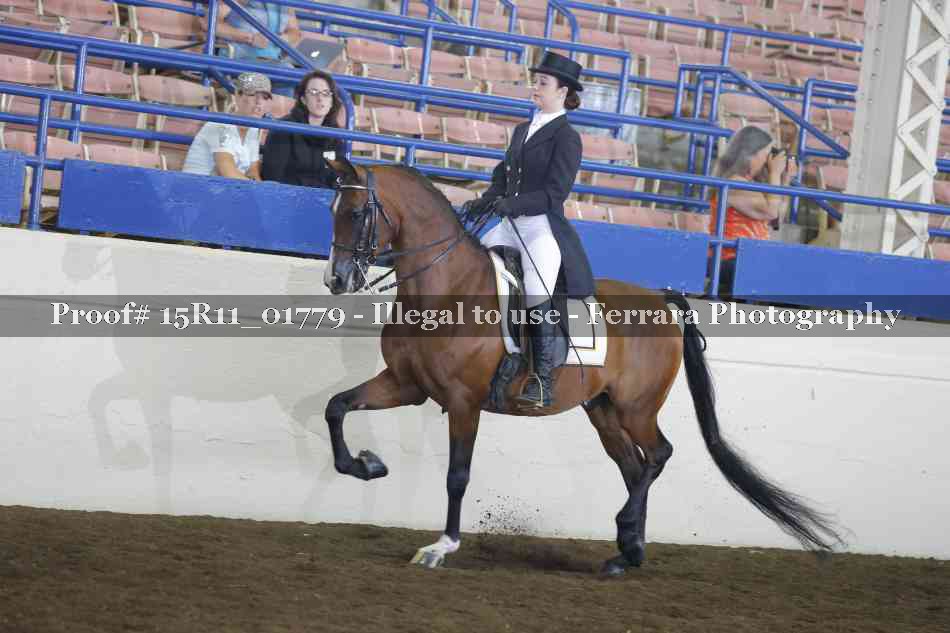 Proof 15R11_01779