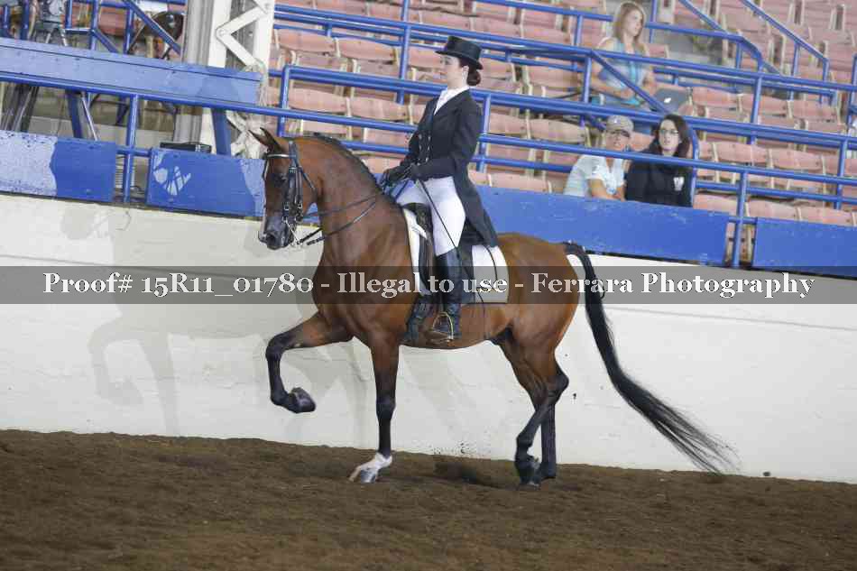Proof 15R11_01780