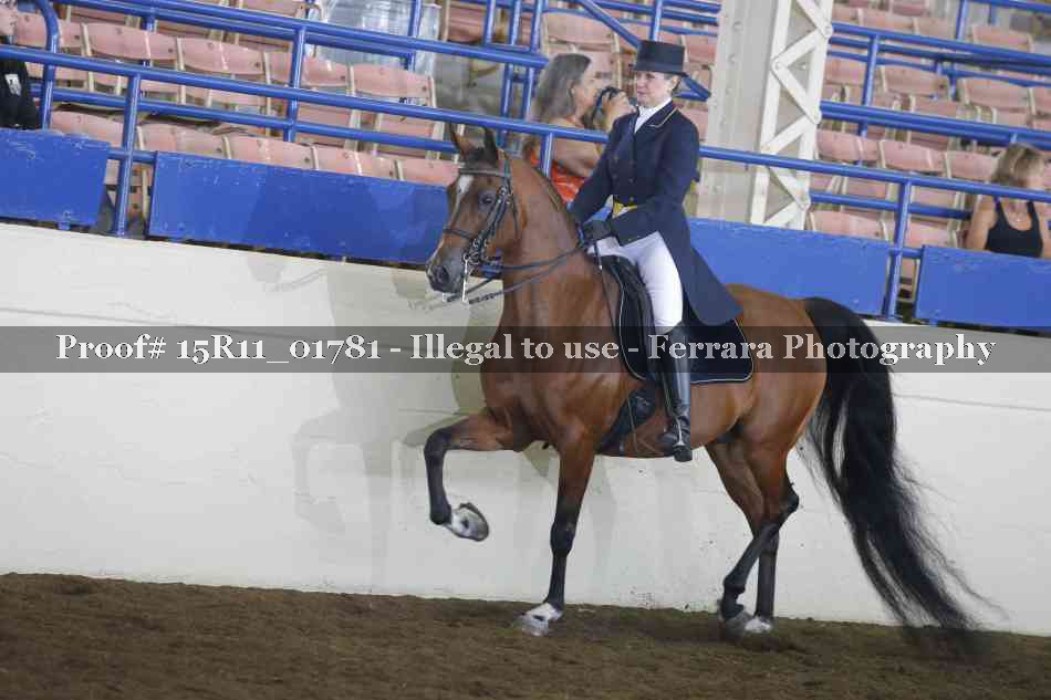 Proof 15R11_01781