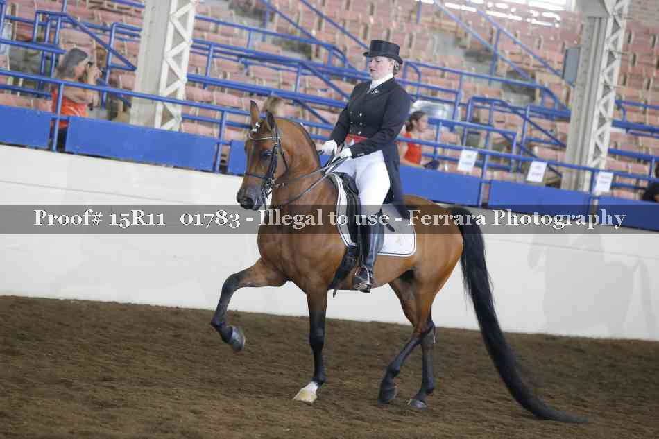 Proof 15R11_01783