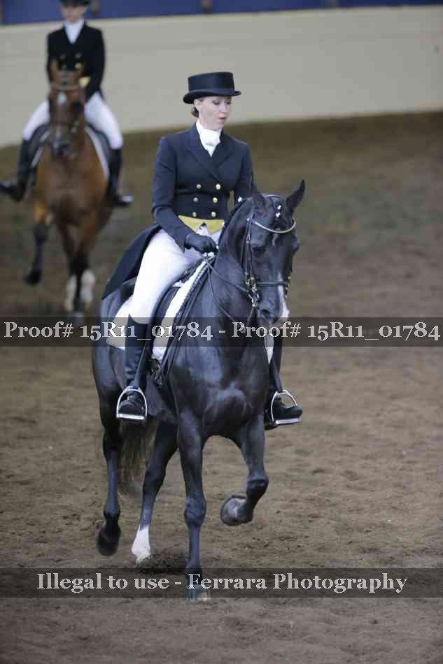 Proof 15R11_01784