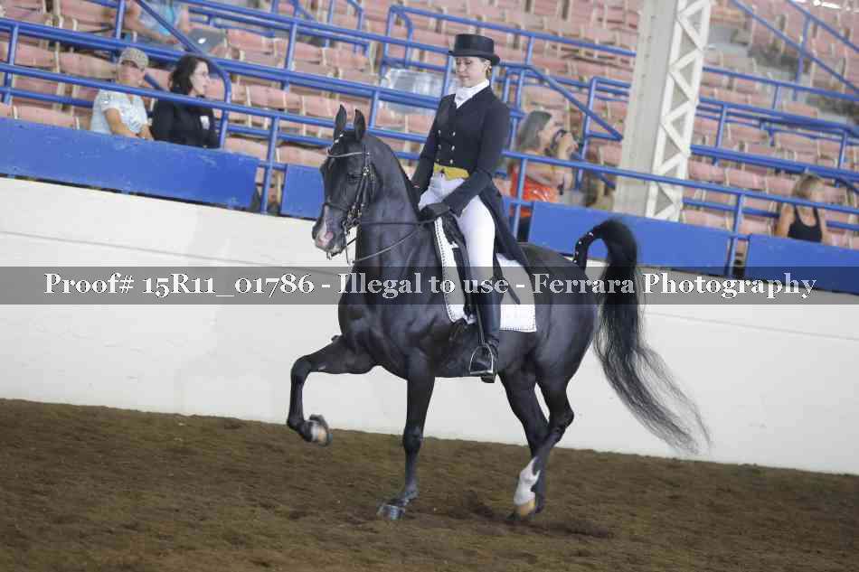 Proof 15R11_01786
