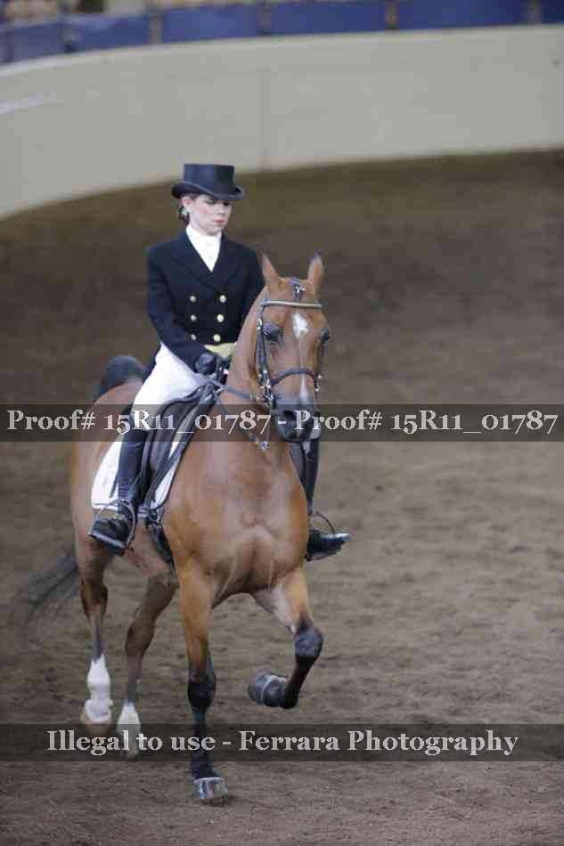 Proof 15R11_01787