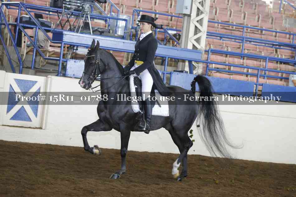 Proof 15R11_01788
