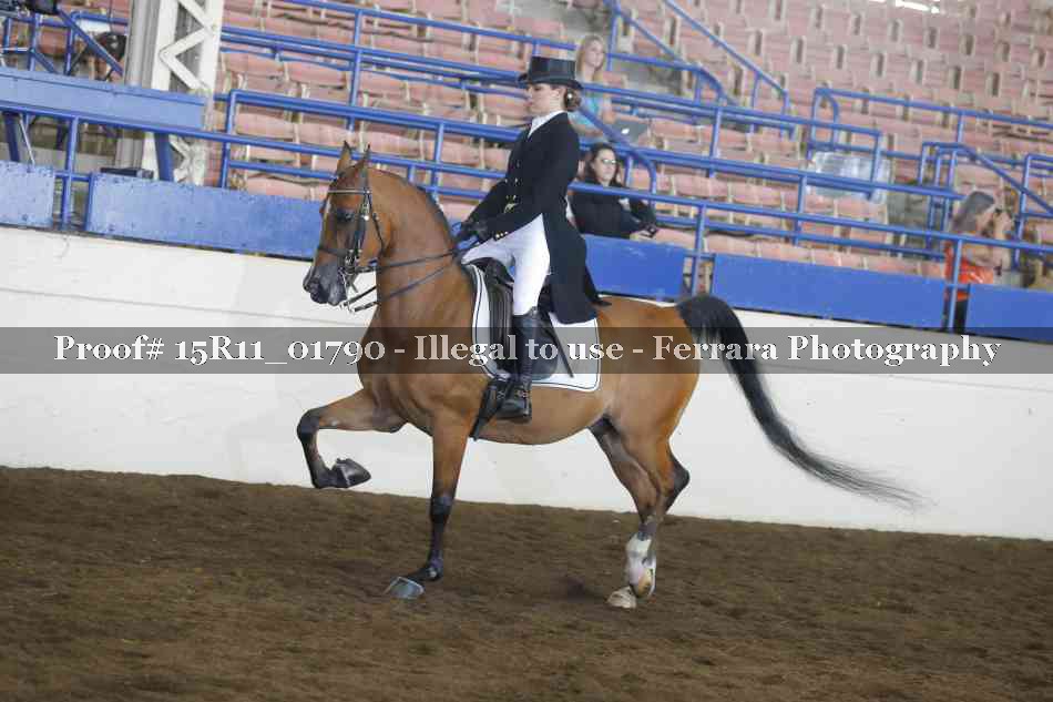 Proof 15R11_01790