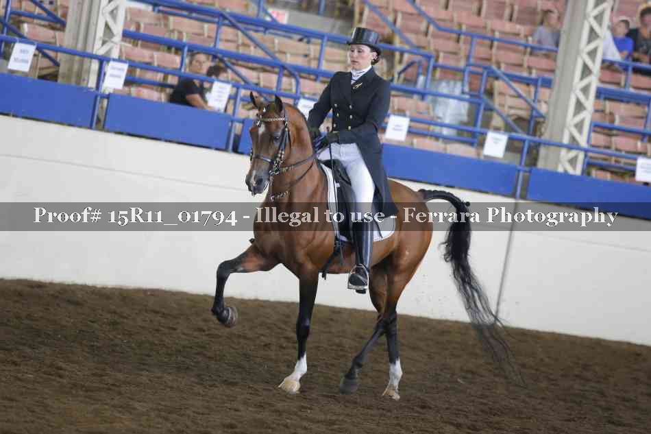 Proof 15R11_01794