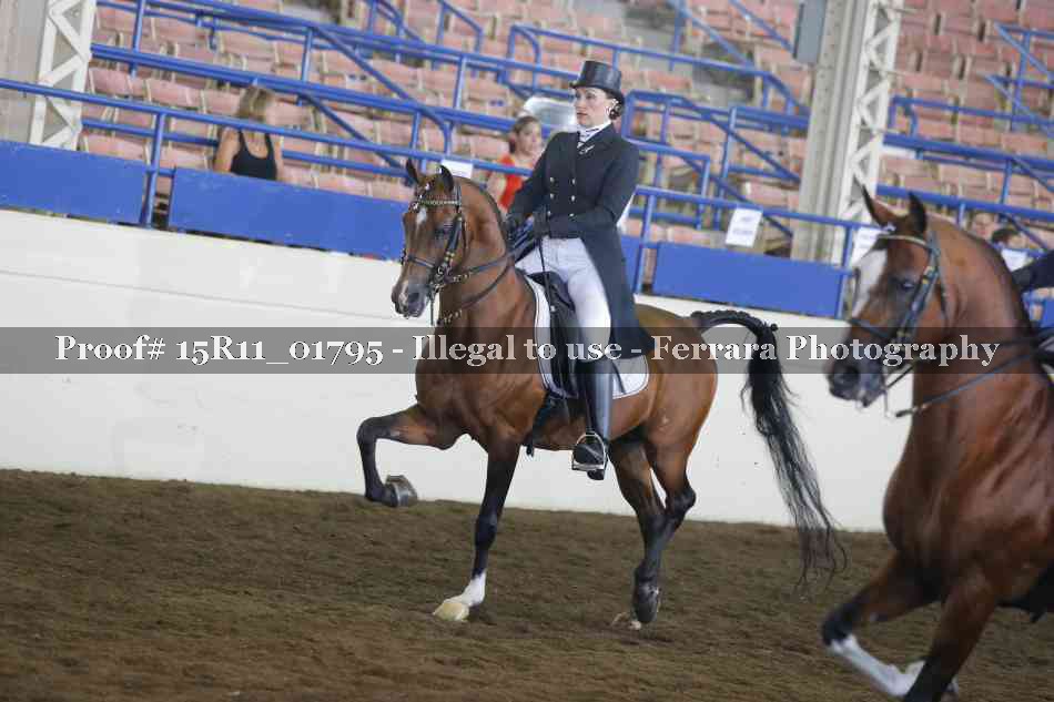Proof 15R11_01795