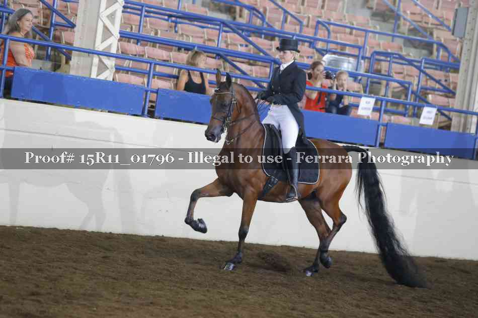 Proof 15R11_01796