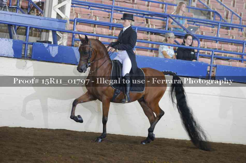Proof 15R11_01797